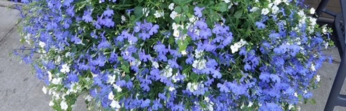 The right tools for any size landscape.