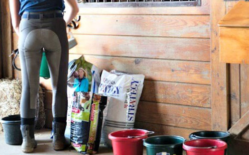 Douglas feed & pet supply outlet