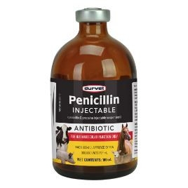 Penicillin Injectable 