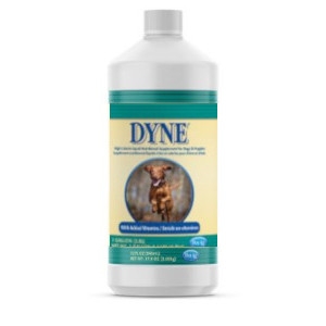 Dyne High Calorie Nutritional Supplment for Dogs and Puppies