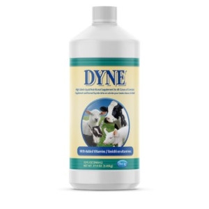 Dyne High Calorie Liquid Nutritional Supplement for Livestock