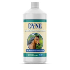 Dyne High Calorie Nutritional Supplement for Horses and Ponies