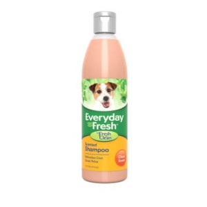 Everyday Fresh -Fresh 'n Clean- Scented Shampoo
