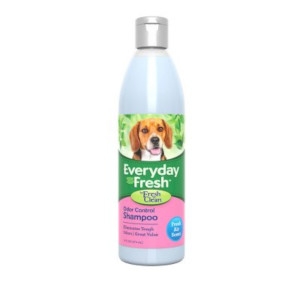 Everyday Fresh-Fresh 'N Clean-Odor Control Shampoo