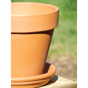 Standard Clay Pots and Saucers