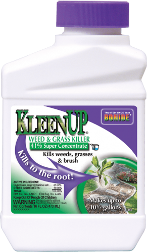 KleenUp Concentrate 16 oz