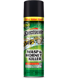 Spectracide Wasp & Hornet Killer3