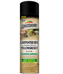 Spectracide Carpenter Bee & Ground-Nesting Yellowjacket Killer