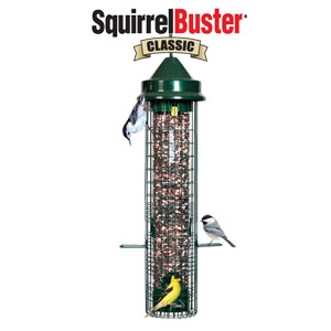 Brome Squirrel Buster Classic