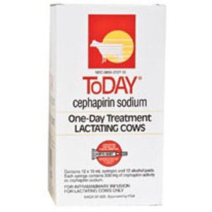 ToDay®  Lactating Cow Mastitis Treatment