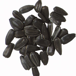 Black Oil Sunflower Seed - 50 lb.
