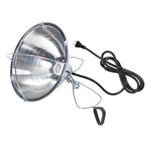 Little Giant Brooder Reflector Heat Lamp
