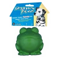 JW Pet Company Darwin The Frog Small Dog Toy  