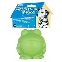 JW Pet Company Darwin The Frog Large Dog Toy  