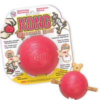 Kong Large Biscuit Ball