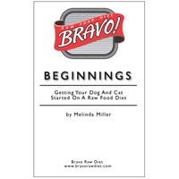 Bravo! Beginnings Booklet