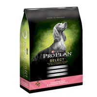 Pro Plan Select Dog Sensitive Skin & Stomach 33 lb.