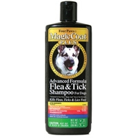 Four Paws MC Flea/Tick Plus Dog Shampoo 16oz