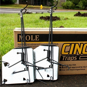Cinch® Mole Traps