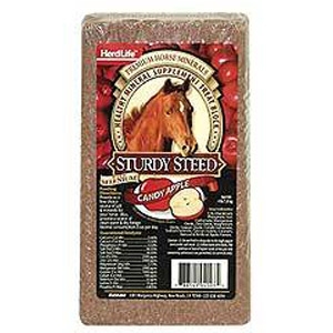 Sturdy Steed Candy Apple Mineral Block
