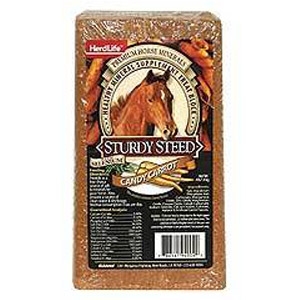Sturdy Steed Candy Carrot Mineral Block