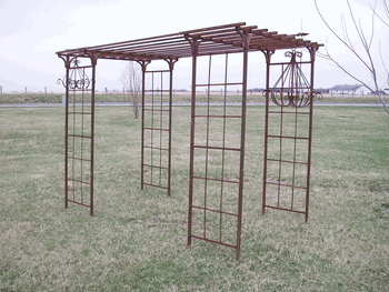 Wrought Iron Pergola