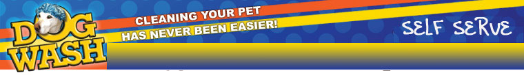 dog wash banner