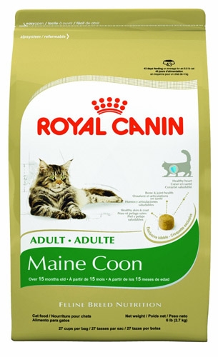 Royal Canin Maine Coon 4/6#