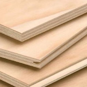 Arauco 1/2 inch AC Plywood