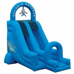 Dolphin Inflatable Slide