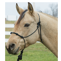 Rope Halter Silvertip Four Knot Rope Halters