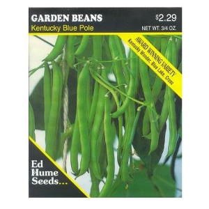 Ed Hume Seeds, Kentucky Blue Pole Garden Bean Seeds