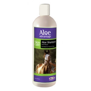 Aloe Advantage Aloe Shampoo with Phenol