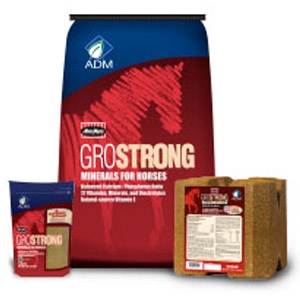 MoorMan's® GROSTRONG® Minerals for Horses