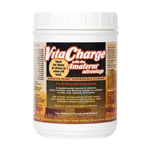 Vita Charge Dispersible Powder