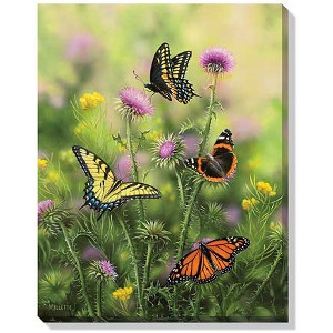 Wild Wings Wrapped Canvas Prints
