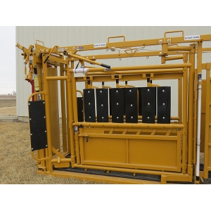 Squeeze Chute for Cattle