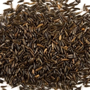Nyger Seed (Thistle Seed) 10lb