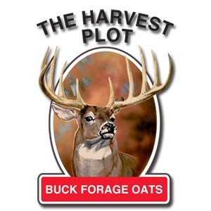 Buck Forage Oats