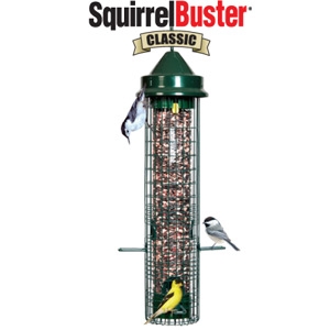 Brome Bird Care Squirrel Buster Classic
