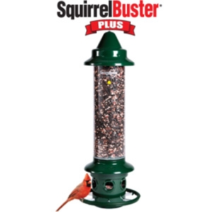 Brome Bird Care Squirrel Buster Plus