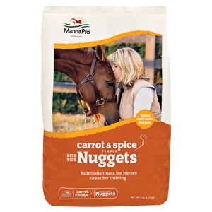 Bite-Size Carrot & Spice Nuggets Horse Treats