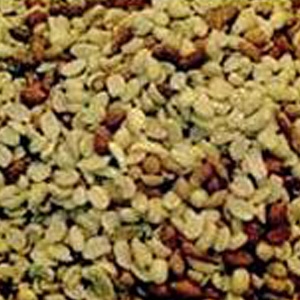 Alpine Ingredients Shelled Peanuts