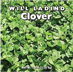 Clover Ladino 3 Lb