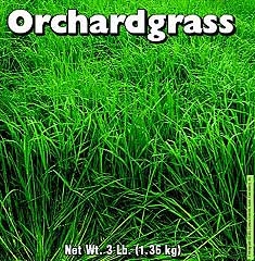Orchardgrass 3 Lb
