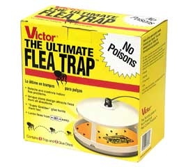 The Ultimate Flea Trap