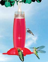Rose Hummingbird Feeder