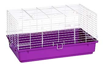 Rabbit Cage With Purple Plastic Bottom 31in