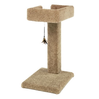 Ware Kitty Cactus Carpeted Scratching Post With Toy 24in
