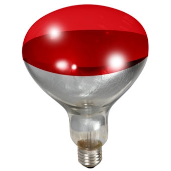 Miller Mfg Heat Lamp Bulb Red 250 Watt